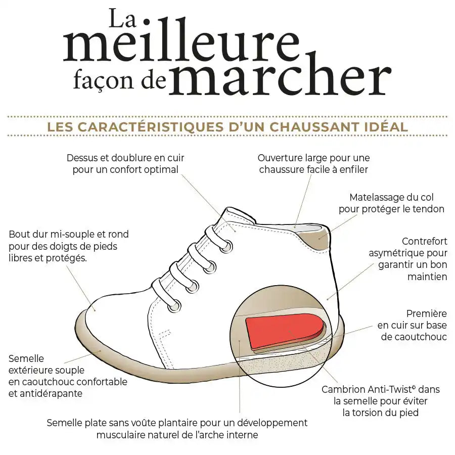 Diagramme anatomique d'une chaussure de marche montrant ses caractéristiques clés en français.